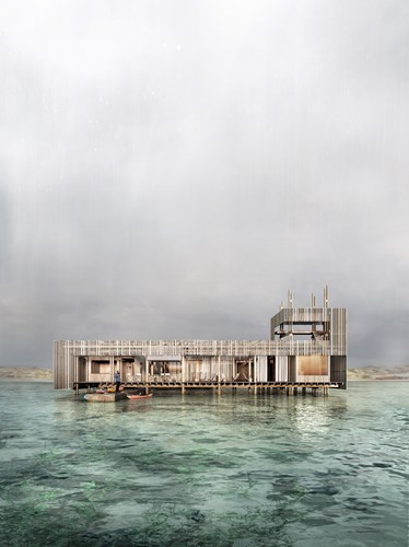 Erik Juul arbejder med at udvikle et koncept for maritime forsamlingshuse. Det forventes, at det første skal ligge i Odsherred Kommune, bygget af træ og tang og placeret ude i vandet. I den sammenhæng arbejdes der med at udvikle tekstiler i tang og søgræs til facaden.